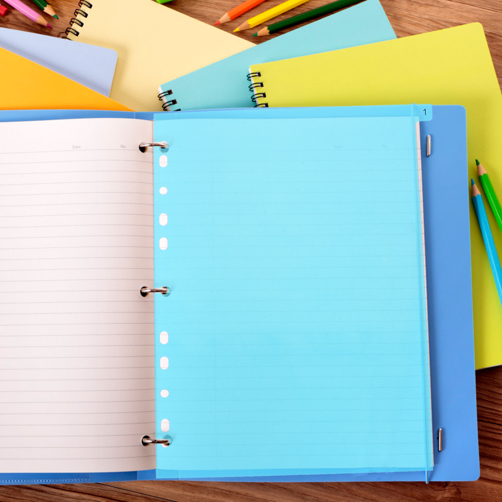 5Pcs Binder Dividers Colorful  - Tab Divider A4 ulasan dan harga