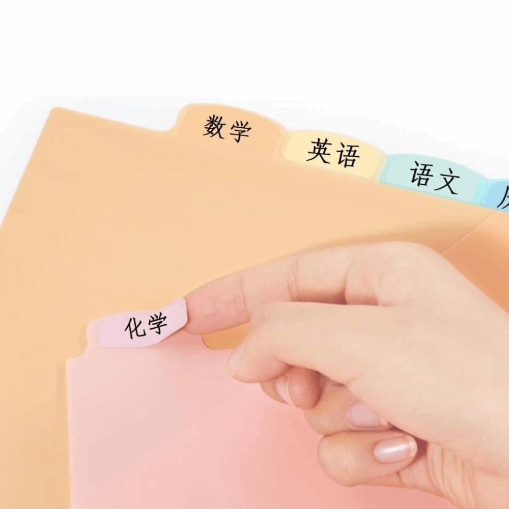 8 pcs A4 Pastel Binder Divider - Tab Divider A4 ulasan dan harga